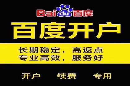 搜索引擎营销（SEM）在本地市场的投放案例
